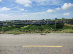 อสังหาริมทรัพย์ - ที่ดิน