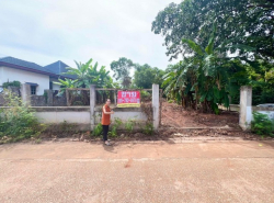 ขายที่ดิน ปลูกบ้าน บ้านเดี่ยว พลูวิลล่า ใกล้ทะเล 7 นาที  หาดแหลมแม่พิมพ์ ต.กร่ำ อ. แกลง จ.ระยอง  
