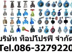 ธุรกิจ/กิจการ/เซ้ง - อุตสาหกรรม