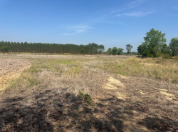 อสังหาริมทรัพย์ - ที่ดิน