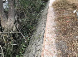 รถมือสอง อสังหาริมทรัพย์ ที่ดิน ปี 0 