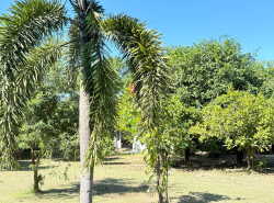 รถมือสอง อสังหาริมทรัพย์ ที่ดิน ปี 0 