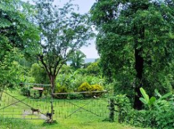 รถมือสอง อสังหาริมทรัพย์ ที่ดิน ปี 0 