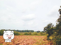 รถมือสอง อสังหาริมทรัพย์ ที่ดิน ปี 0 
