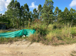 รถมือสอง อสังหาริมทรัพย์ ที่ดิน ปี 0 