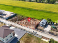 ที่ดินจัดสรร 100 ตร.ว. ซอยสังฆสันติสุข 48 หนองจอก ทำเลดี