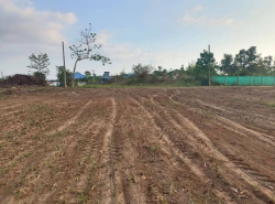 รถมือสอง อสังหาริมทรัพย์ ที่ดิน ปี 0 