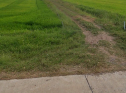 รถมือสอง อสังหาริมทรัพย์ ที่ดิน ปี 0 