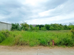 รถมือสอง อสังหาริมทรัพย์ ที่ดิน ปี 0 