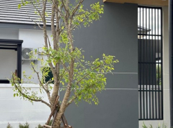 รถมือสอง อสังหาริมทรัพย์ บ้าน ปี 0 