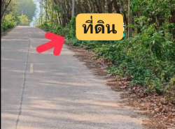 ขายที่ดินแปลงสวยทำเลดี​ ผังสี ม่วงลายต 38-1- 49ไร่.ศรีราชา จ.ชลบุรี
