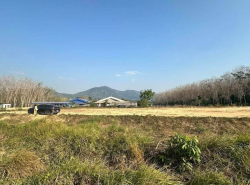 รถมือสอง อสังหาริมทรัพย์ ที่ดิน ปี 0 