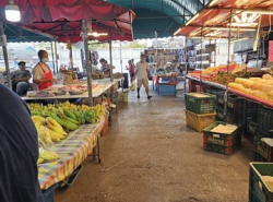 รถมือสอง อสังหาริมทรัพย์ ที่ดิน ปี 0 