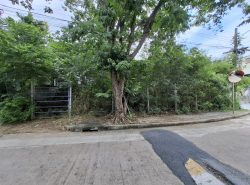 รถมือสอง อสังหาริมทรัพย์ ที่ดิน ปี 0 