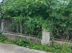 ที่ดินเปล่า ใกล้ถนนหลักโชตนา ดอนแก้ว แม่ริม         