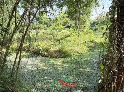 รถมือสอง อสังหาริมทรัพย์ ที่ดิน ปี 0 