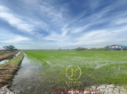 รถมือสอง อสังหาริมทรัพย์ ที่ดิน ปี 0 