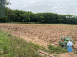 รถมือสอง อสังหาริมทรัพย์ ที่ดิน ปี 0 