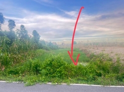 รถมือสอง อสังหาริมทรัพย์ ที่ดิน ปี 0 