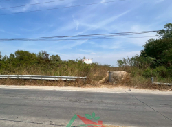 รถมือสอง อสังหาริมทรัพย์ ที่ดิน ปี 0 