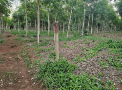 รถมือสอง อสังหาริมทรัพย์ ที่ดิน ปี 0 