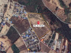 อสังหาริมทรัพย์ - ที่ดิน