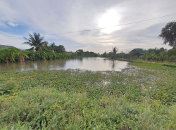 รถมือสอง อสังหาริมทรัพย์ ที่ดิน ปี 0 
