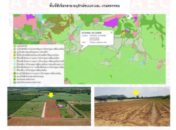 ขายที่ดินเปล่า ตำบลโป่งตาลอง อำเภอปากช่อง จังหวัดนครราชสีมา