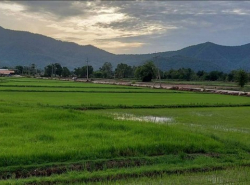 รถมือสอง อสังหาริมทรัพย์ ที่ดิน ปี 0 