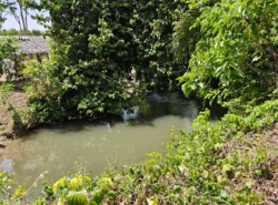 รถมือสอง อสังหาริมทรัพย์ ที่ดิน ปี 0 