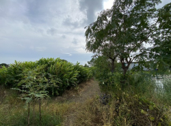 รถมือสอง อสังหาริมทรัพย์ ที่ดิน ปี 0 