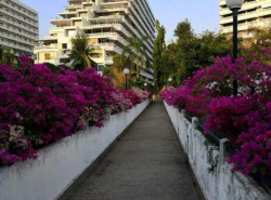 รถมือสอง อสังหาริมทรัพย์ คอนโดมิเนียม ปี 0 