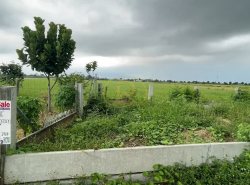 ขายที่ดินจัดสรร ราคาแค่หลักแสน โครงการสวนเกษตร โชคอนันต์พรเทพ ต.นราภิรมย์ อ.บางเลน จ.นครปฐม