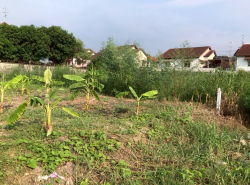 อสังหาริมทรัพย์ - ที่ดิน