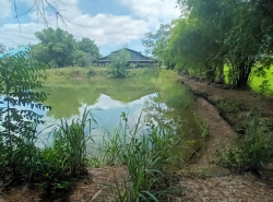 รถมือสอง อสังหาริมทรัพย์ ที่ดิน ปี 0 