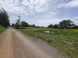 ขายที่ดินสร้างบ้านสวน 350 ตร.ว อ.องครักษ์ จ.นครนายก