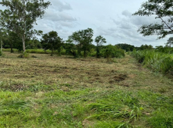 รถมือสอง อสังหาริมทรัพย์ ที่ดิน ปี 0 