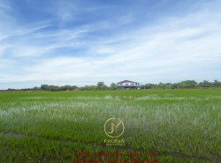รถมือสอง อสังหาริมทรัพย์ ที่ดิน ปี 0 