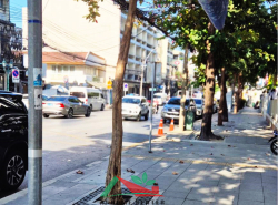 รถมือสอง อสังหาริมทรัพย์ ตึกแถว อาคารพาณิชย์ ปี 0 