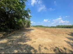 รถมือสอง อสังหาริมทรัพย์ ที่ดิน ปี 0 