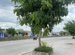 รถมือสอง อสังหาริมทรัพย์ ที่ดิน ปี 0 