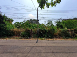 รถมือสอง อสังหาริมทรัพย์ ที่ดิน ปี 0 