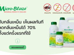รถมือสอง ประกาศทั่วไป อื่นๆทั่วไป ปี 0 