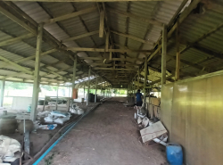 รถมือสอง อสังหาริมทรัพย์ ที่ดิน ปี 0 