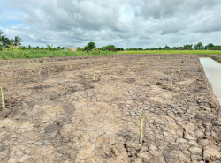 รถมือสอง อสังหาริมทรัพย์ ที่ดิน ปี 0 