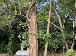 รถมือสอง อสังหาริมทรัพย์ ที่ดิน ปี 0 