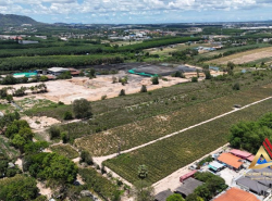 รถมือสอง อสังหาริมทรัพย์ ที่ดิน ปี 0 