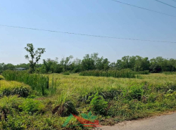 รถมือสอง อสังหาริมทรัพย์ ที่ดิน ปี 0 