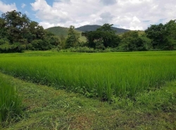 รถมือสอง อสังหาริมทรัพย์ ที่ดิน ปี 0 