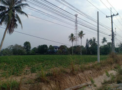 รถมือสอง อสังหาริมทรัพย์ ที่ดิน ปี 0 
